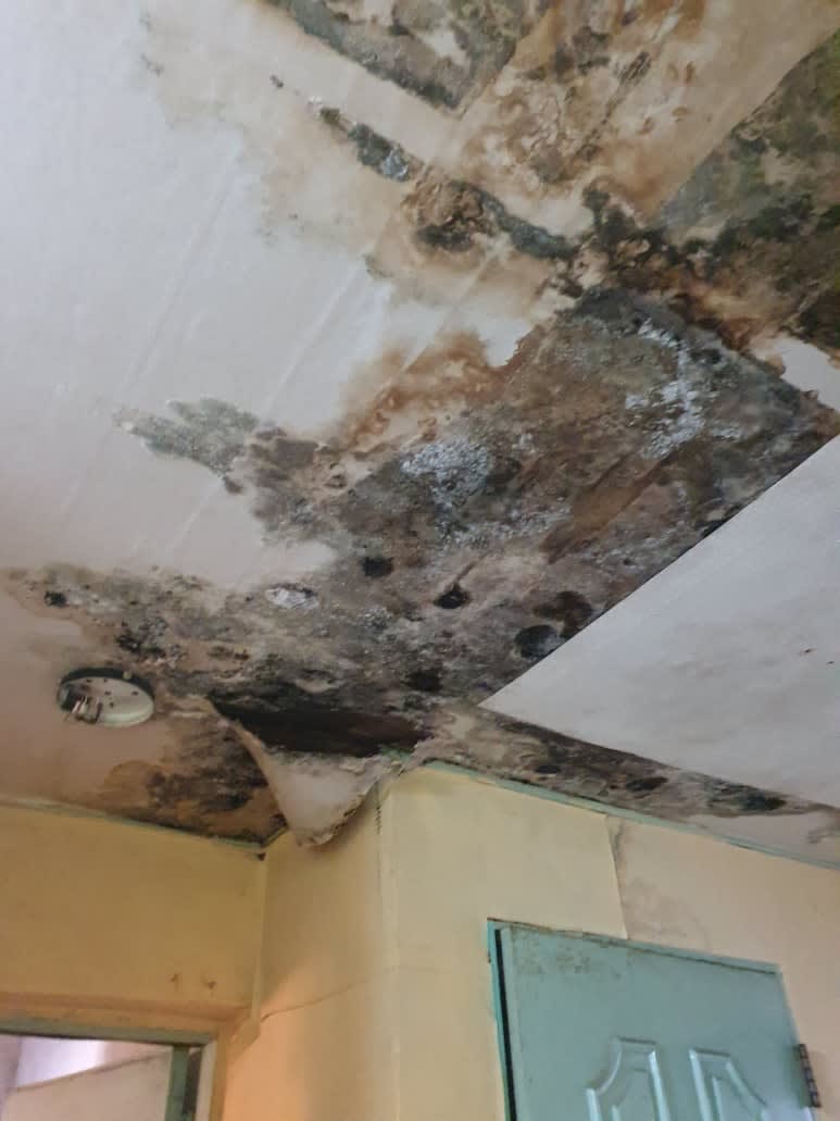 안산 고잔동 누수와 침수 피해 분석